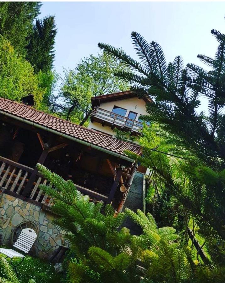 Cabana Vanatorilor Poiana Marului  Bagian luar foto