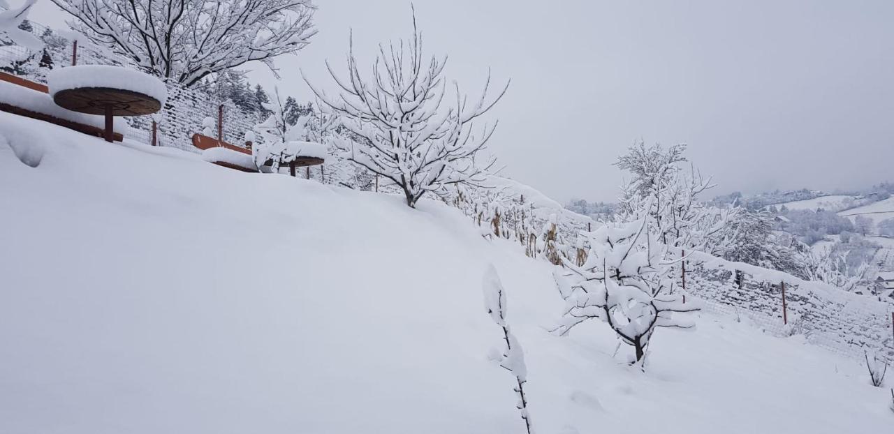 Cabana Vanatorilor Poiana Marului  Bagian luar foto
