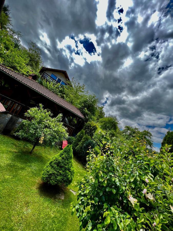Cabana Vanatorilor Poiana Marului  Bagian luar foto